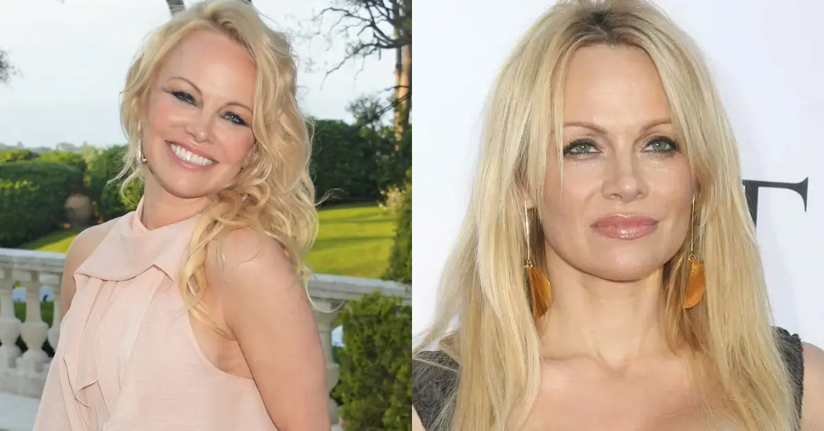 pamela anderson net worth